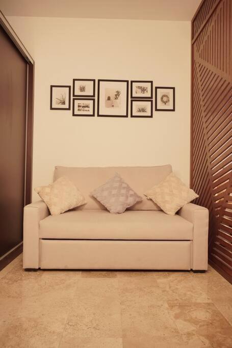 شقة Noah Luxury Loft In Downtown تولوم المظهر الخارجي الصورة